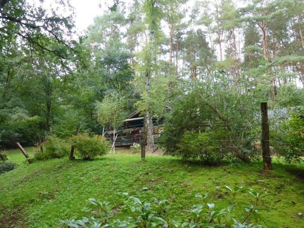 Cosy Chalet With Private Sauna In Bousseviller Habitación foto