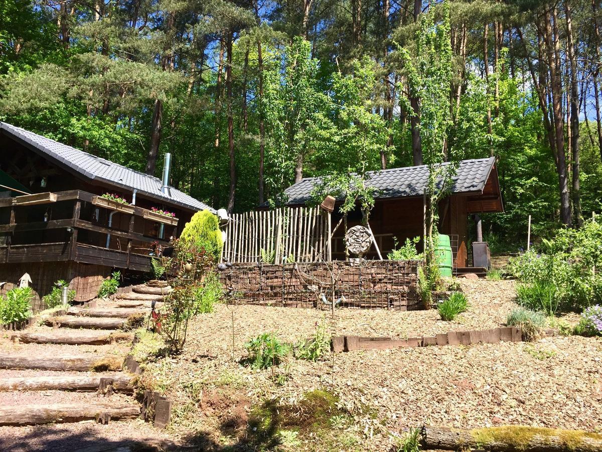 Cosy Chalet With Private Sauna In Bousseviller Exterior foto